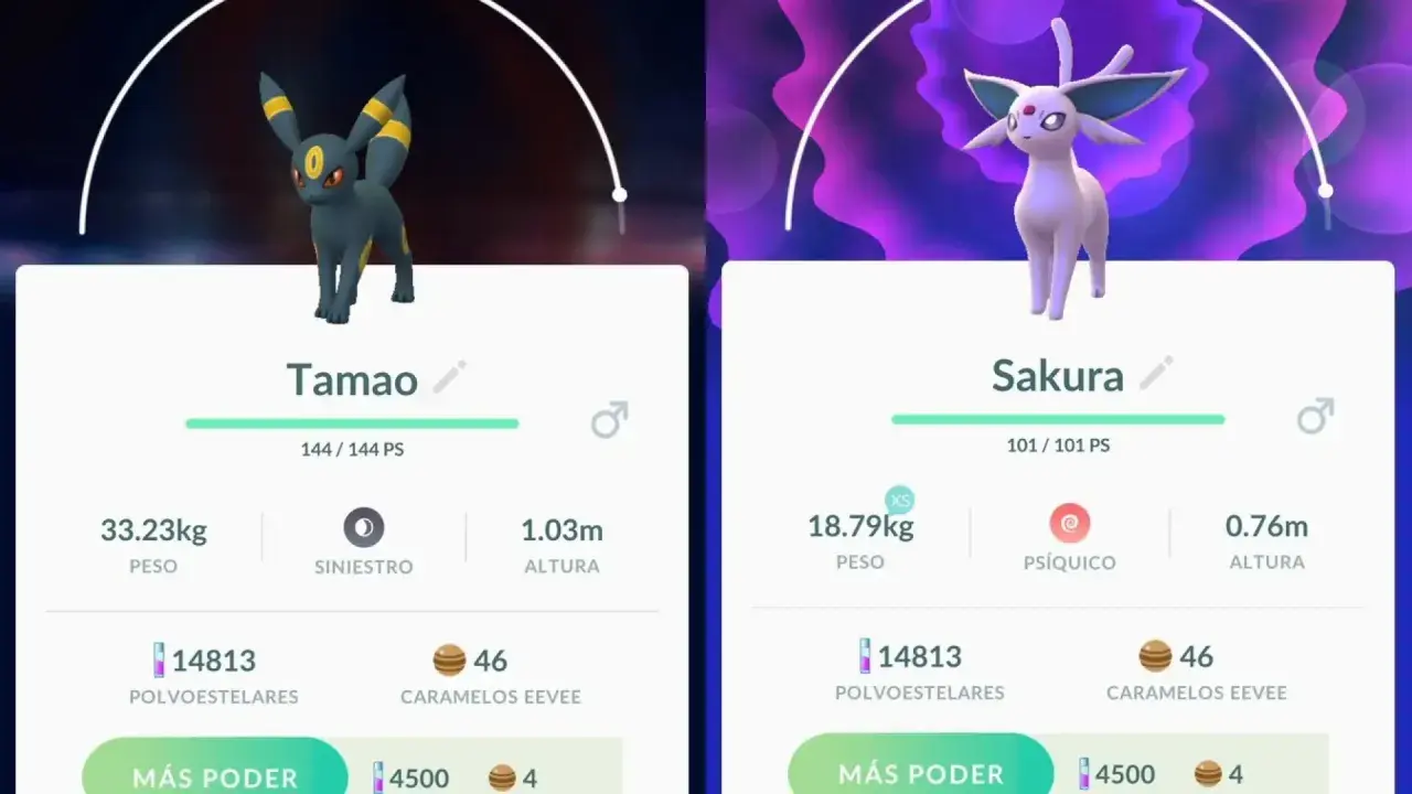 Umbreon y Espeon en Pokémon GO. Tamao, el Umbreon, pesa 33.23kg y Sakura, el Espeon, 18.79kg.