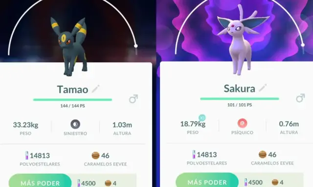 Umbreon y Espeon en Pokémon GO. Tamao, el Umbreon, pesa 33.23kg y Sakura, el Espeon, 18.79kg.